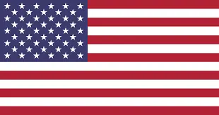 american flag-Lakeville
