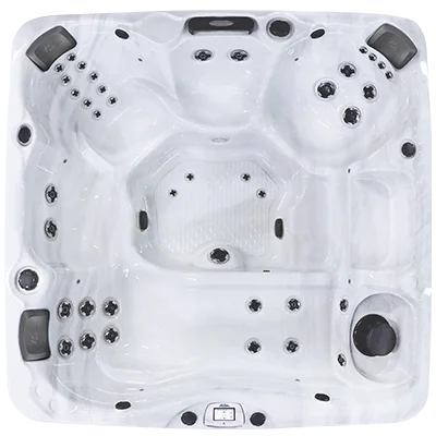 Avalon-X EC-840LX hot tubs for sale in Lakeville