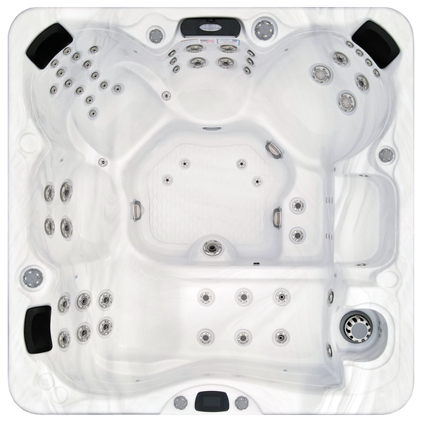 Avalon-X EC-867LX hot tubs for sale in Lakeville